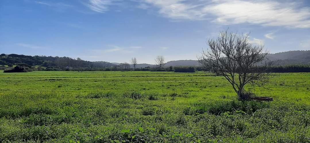 Guesthouse A Lareira Aljezur Εξωτερικό φωτογραφία