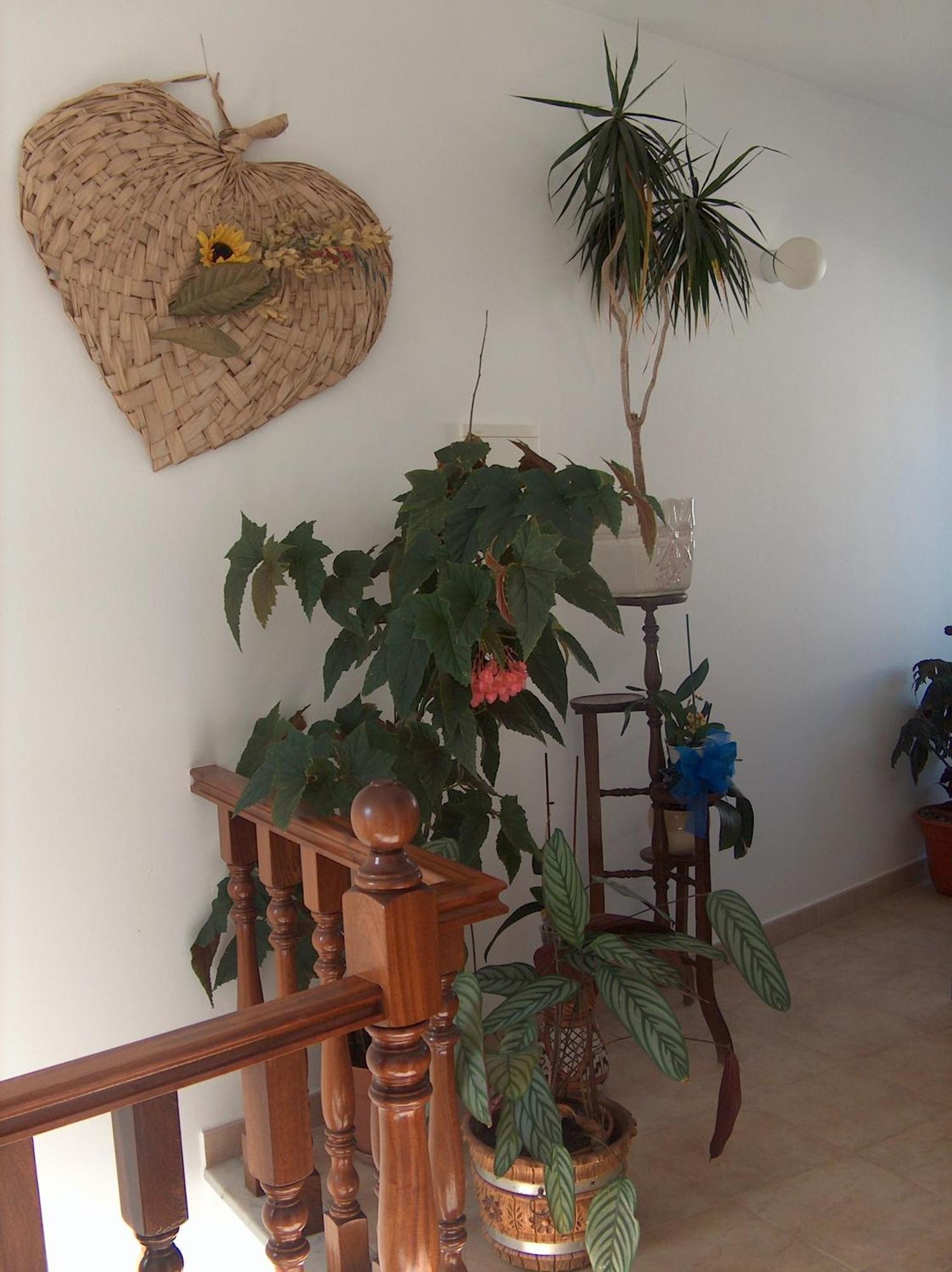 Guesthouse A Lareira Aljezur Εξωτερικό φωτογραφία